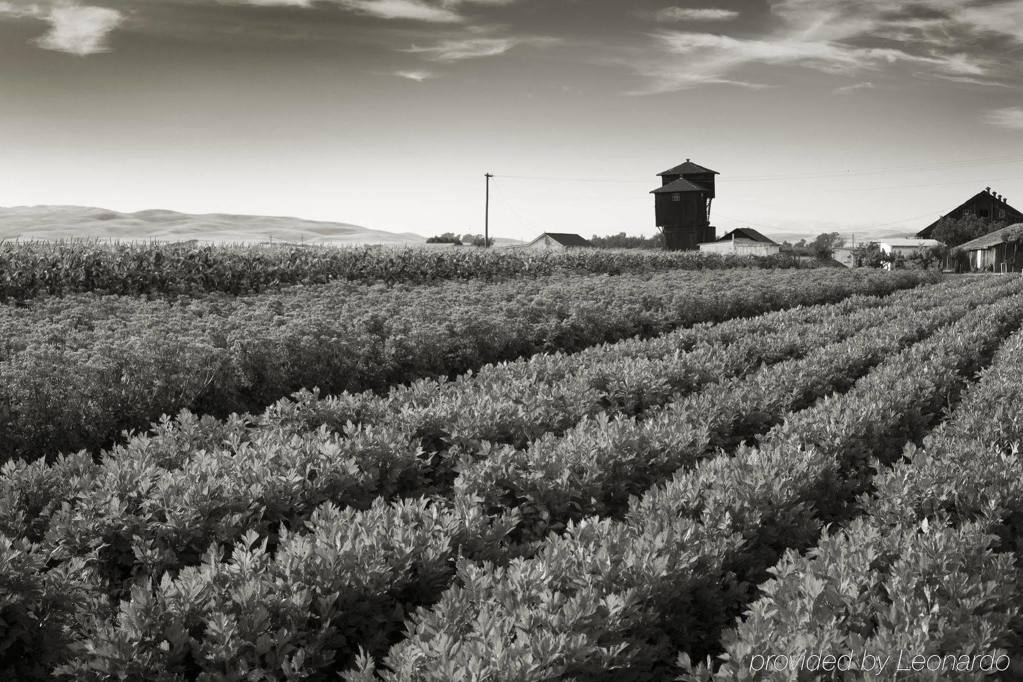 Rosewood Sand Hill Menlo Park Esterno foto